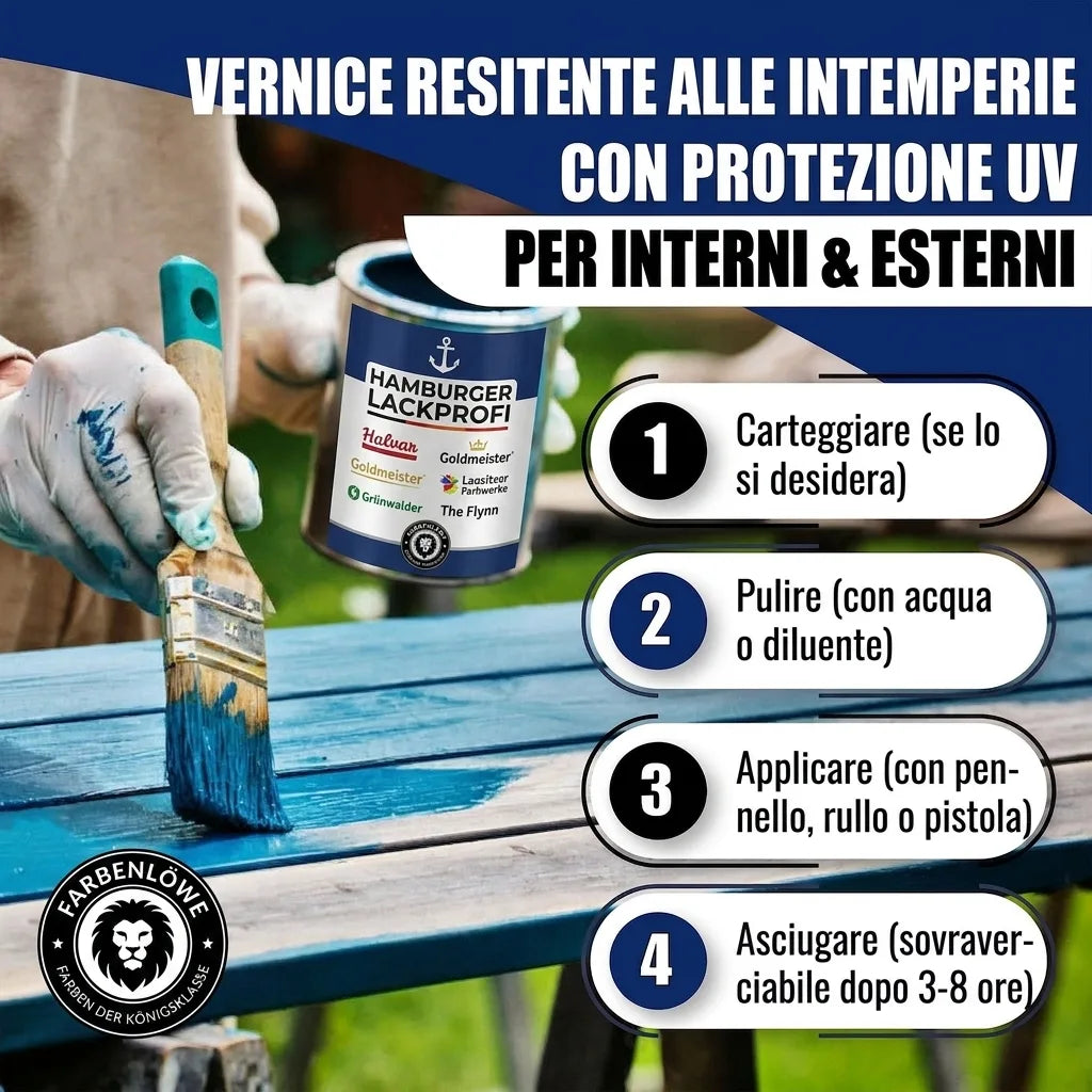 Kulørt lak i Ren orange RAL 2004 med malersæt (X300) - Hamburger Lack-Profi